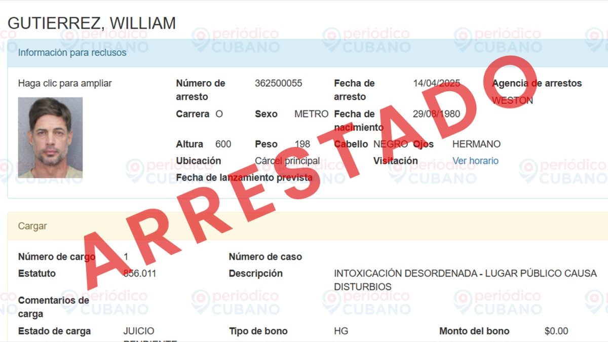 William Levy Arrestado