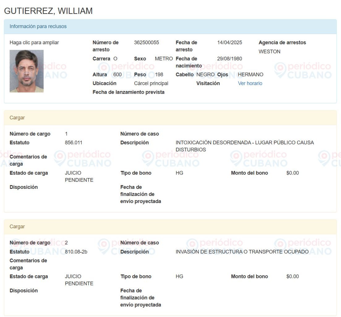William Levy Arrestado y cargos