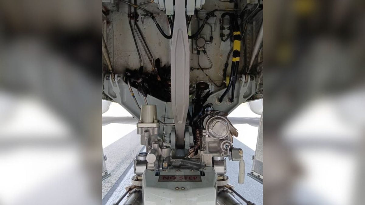 Avión de American Airlines aterriza de emergencia en La Habana tras el impacto de un ave