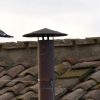 Conclave en el Vaticano para elegir al nuevo papa chimenea de la Capilla Sixtina