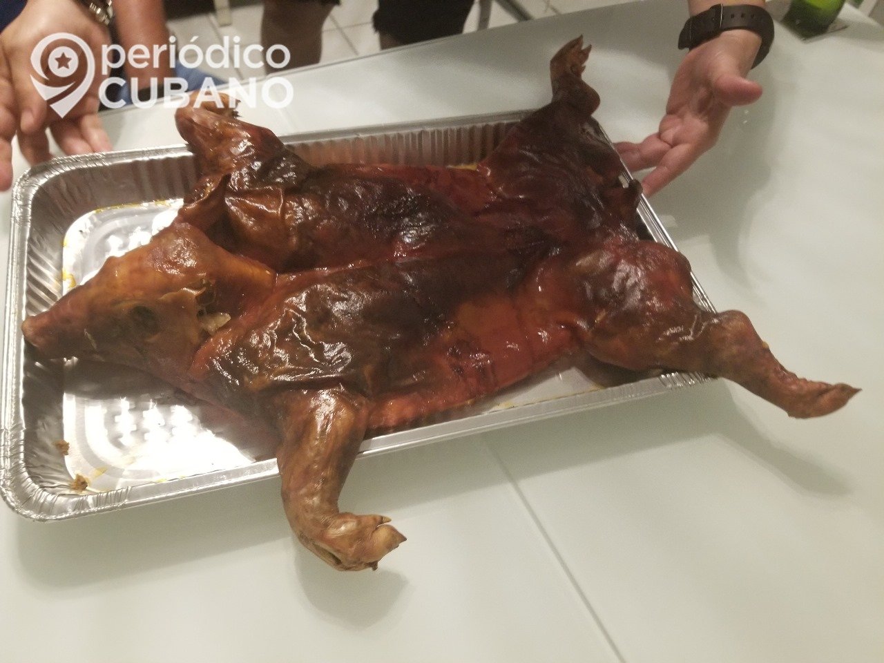 Crisis alimentaria en Cuba se agudiza con caída del 90% en la producción de carne de cerdo