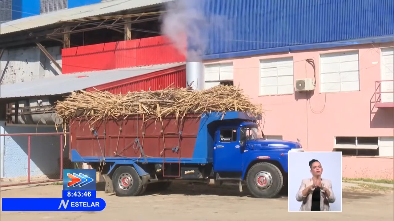 Crisis en la zafra azucarera amenaza la industria del ron cubano23