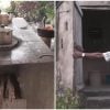 Cuba promociona “letrinas ecológicas” y cocinas de leña para las zonas rurales