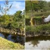 Cubanos revolucionan la pesca con arco en canales de la Florida