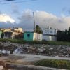 Economista advierte: Si no se corrige podríamos ir hacia la “haitianización” de Cuba