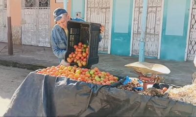 Escasez y abuso con los precios en Cuba Libra de tomate a 150 CUP
