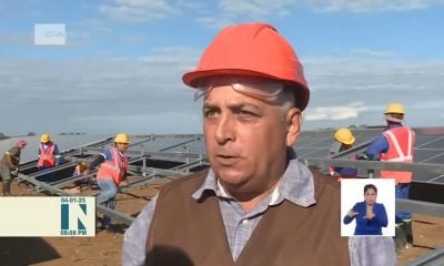 Experto del régimen asegura que los panales solares en Cuba están a prueba de huracanes