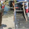 La empresa Aguas de la Habana publicó en su perfil de Facebook el descubrimiento que se produjo en las cercanías del antiguo Matadero en la localidad de Lawton