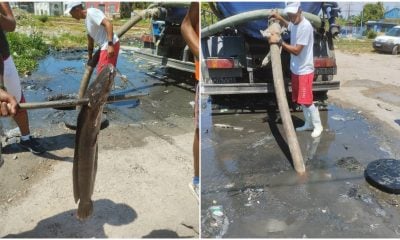 La empresa Aguas de la Habana publicó en su perfil de Facebook el descubrimiento que se produjo en las cercanías del antiguo Matadero en la localidad de Lawton
