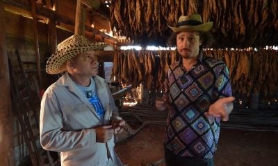 Luisito Comunica vista una fábrica de tabaco en Cuba y descubre que el gobierno lo controla todo