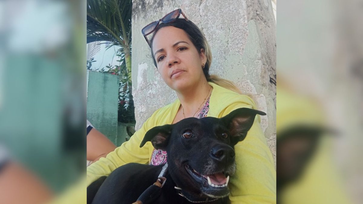 Perra mestiza ahuyenta a ladrón que intentó robar en una casa de Holguín en pleno apagón
