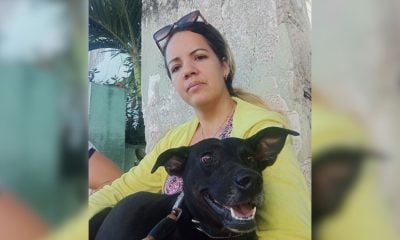Perra mestiza ahuyenta a ladrón que intentó robar en una casa de Holguín en pleno apagón
