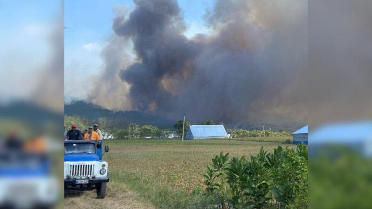 Pinar del Río registra incendios forestales sin precedentes en los primeros meses de 2025