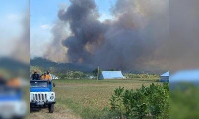 Pinar del Río registra incendios forestales sin precedentes en los primeros meses de 2025