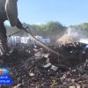 Prometen pagos en dólares para los campesinos cubanos que produzcan carbón, café, cacao y miel
