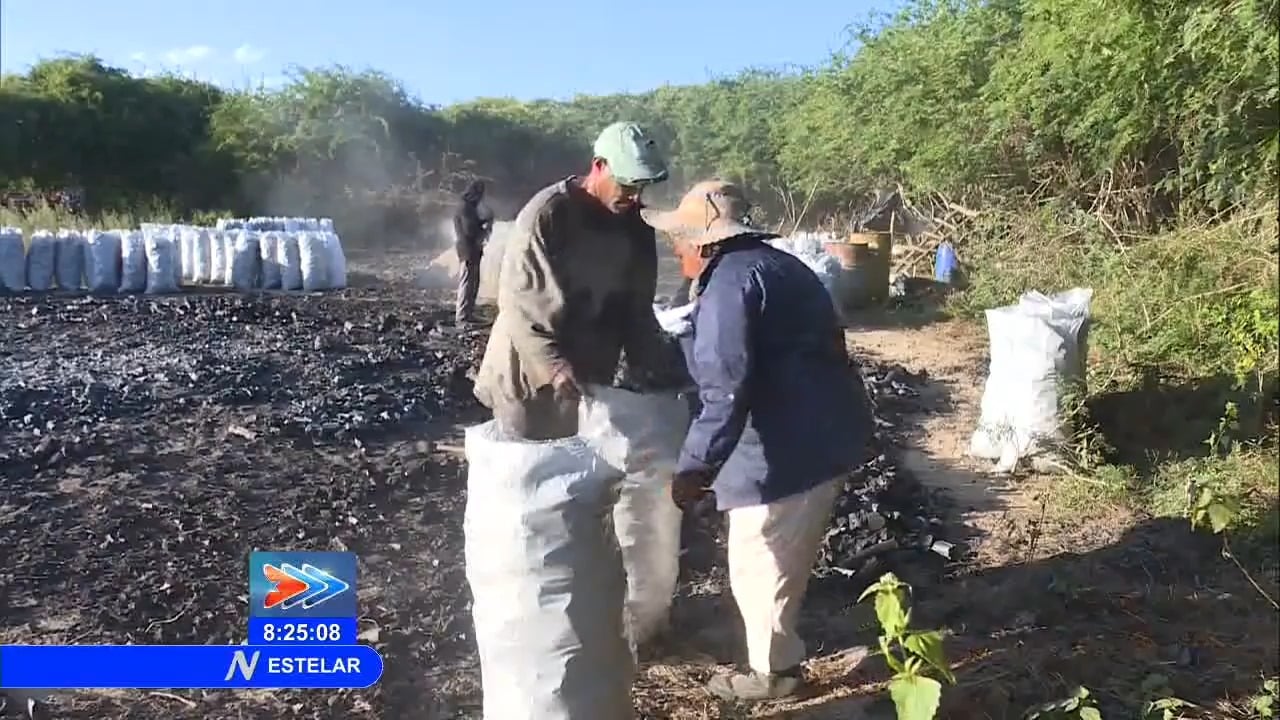 Prometen pagos en dólares para los campesinos cubanos que produzcan carbón, café, cacao y miel2