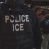 Aplicación Hack Latino alerta a migrantes sobre redadas del ICE en tiempo real