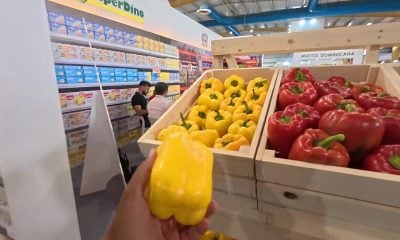 Exponen el mercado “más capitalista” de Cuba con alimentos nunca antes vistos