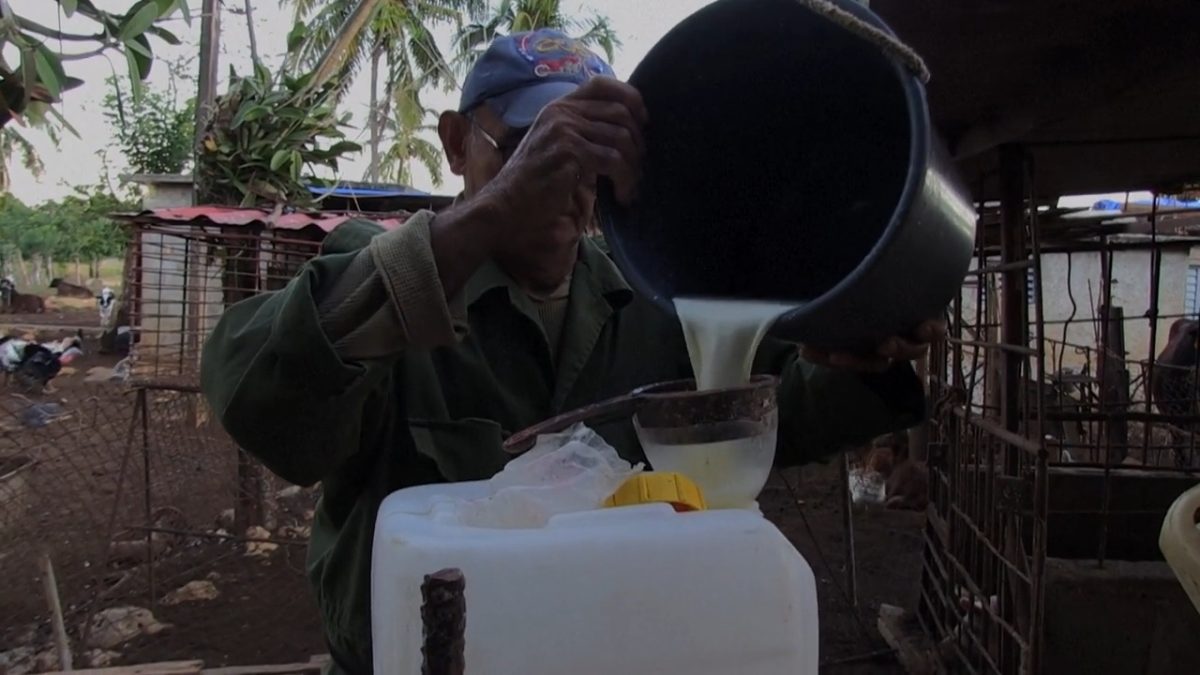Gobierno cubano sin capacidad para distribuir leche a más de 5.000 niños en Matanzas 5