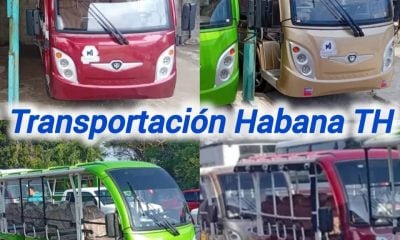 Mipyme privada comienza a operar dos rutas con minibuses eléctricos en La Habana