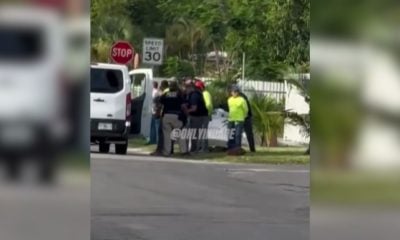 Varios trabajadores son arrestados por el ICE en La Pequeña Habana