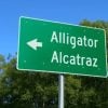 Alligator Alcatraz