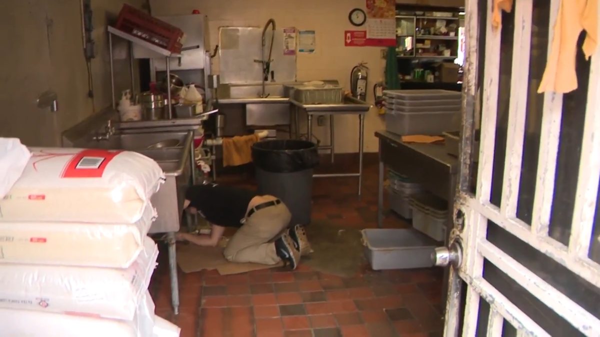 Cucarachas y suciedad llevan al cierre de cinco restaurantes en el sur de Florida