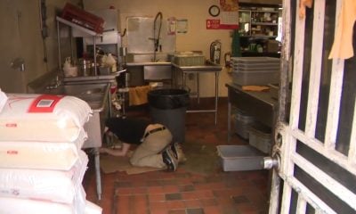 Cucarachas y suciedad llevan al cierre de cinco restaurantes en el sur de Florida
