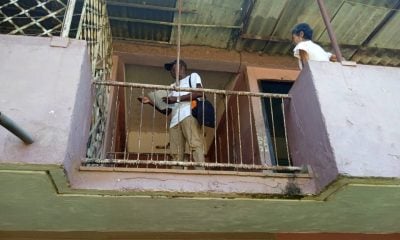 MINSAP reconoce brote de chikungunya en un poblado de Perico, Matanzas