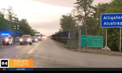 Migrante cubano está en Alcatraz Alligator tras ser detenido por conducir sin licencia en Florida