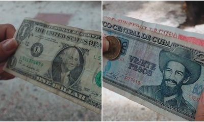 Precio del dólar en Cuba sube cuatro pesos en la última semana