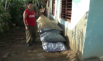 Productores de carbón vegetal reportan pérdidas millonarias por trabas estatales que impiden exportación