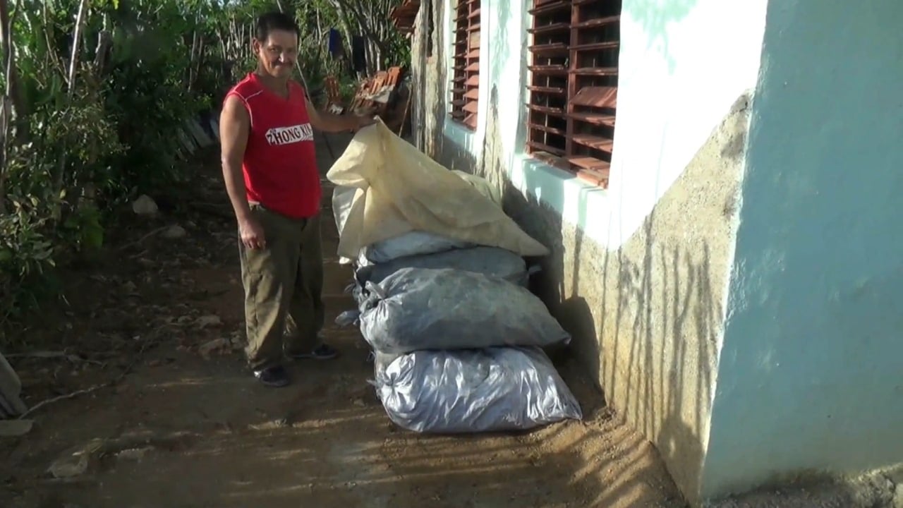 Productores de carbón vegetal reportan pérdidas millonarias por trabas estatales que impiden exportación