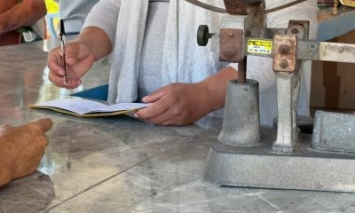 Un litro a la semana: nueva distribución de la leche de la bodega para niños entre siete y trece años