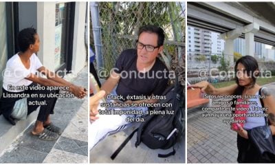 Conducta Dade
