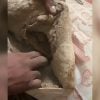 Cubana sorprendida al descubrir el relleno del colchón de su madre (1)