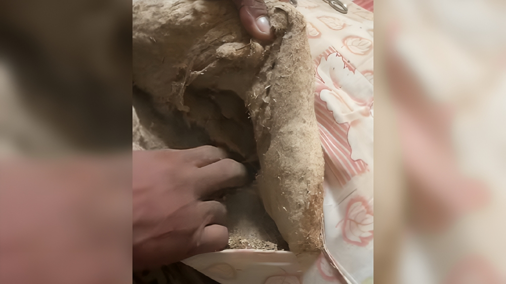 Cubana sorprendida al descubrir el relleno del colchón de su madre (1)