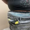 Detienen a cubano en el Aeropuerto de Miami con 40 aves vivas ocultas en su cuerpo