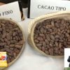 Gobierno crea empresa mixta para sacar a los campesinos del negocio del cacao en Baracoa