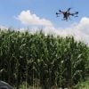 Gobierno quiere utilizar drones para aumentar la producción agrícola en Cuba