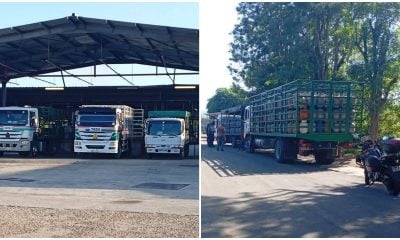Llega barco con 1300 toneladas de gas licuado, Cupet inicia venta en estas provincias  