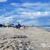 Playas de Florida ocultan una mortal amenaza la bacteria Vibrio vulnificus