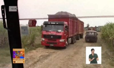 Producción de azúcar en Cuba cierra por debajo de 150 mil toneladas, lo peor en 100 años