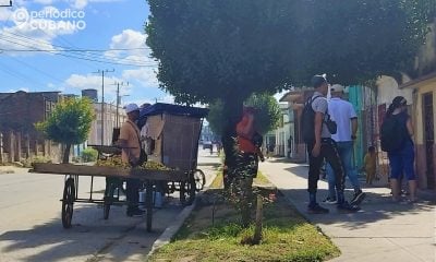 Solo Haití estaría peor que Cuba en los próximos dos años, según la CEPAL