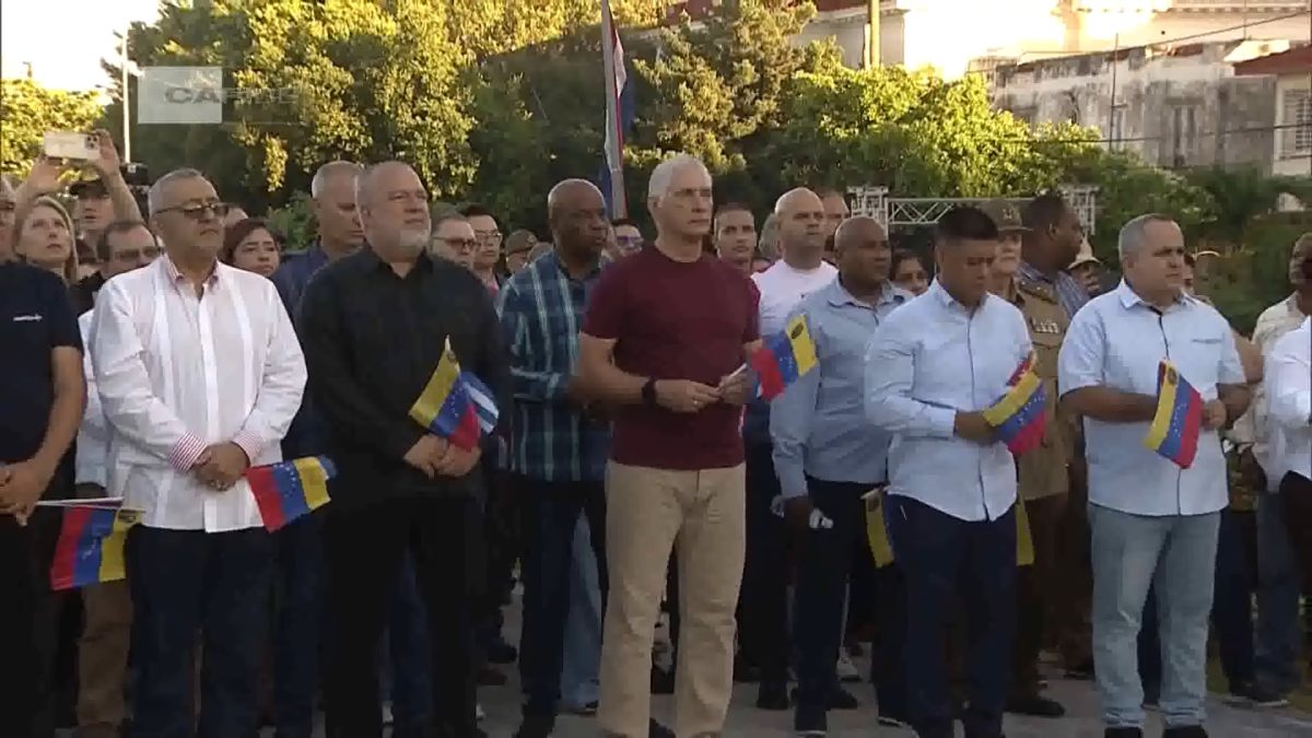 Castrismo marcha a favor de Nicolás Maduro en lugar de solucionar los problemas en Cuba