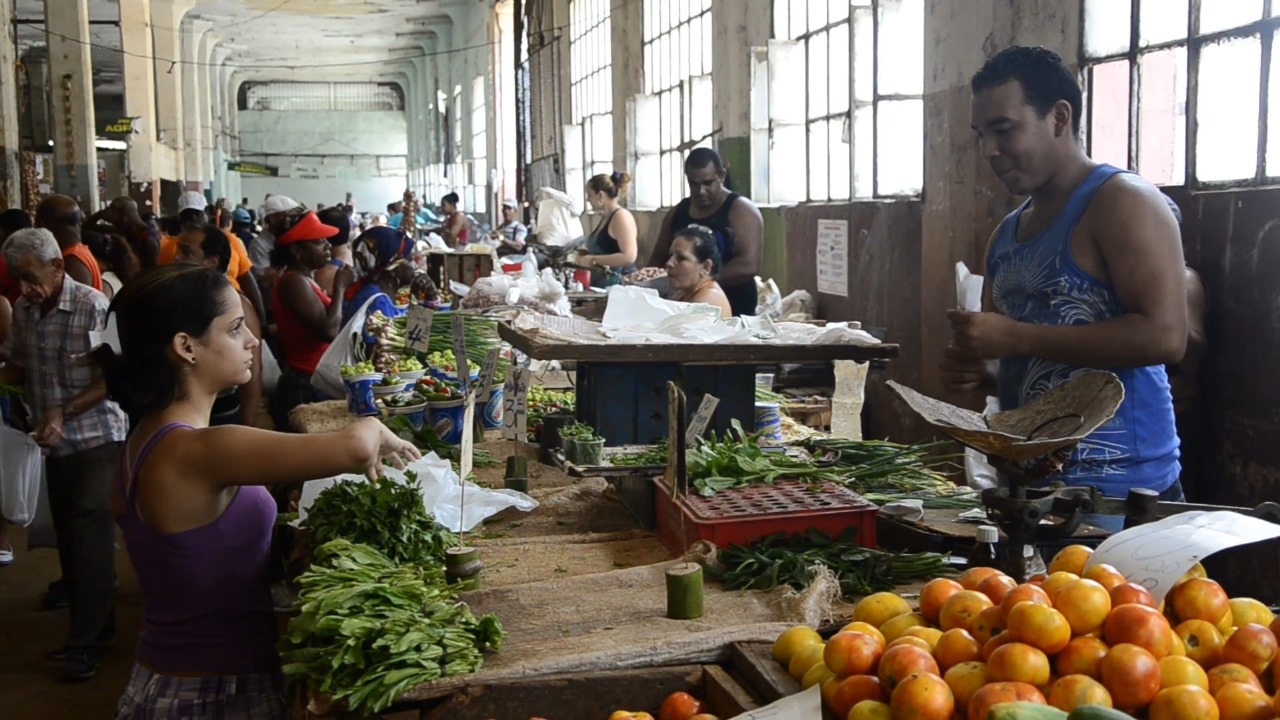 Imponen multas de hasta 16.000 CUP en mercados agropecuarios de La Habana