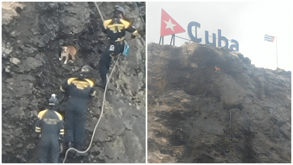Bomberos cubanos rescatan a un perro atrapado en la cascada del Hotel Nacional de Cuba