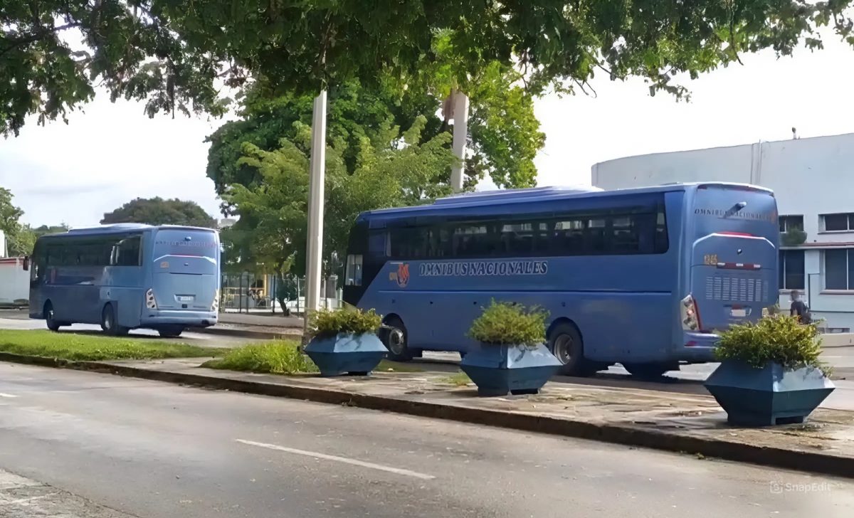 Nace un bebé en ómnibus provincial Cuba