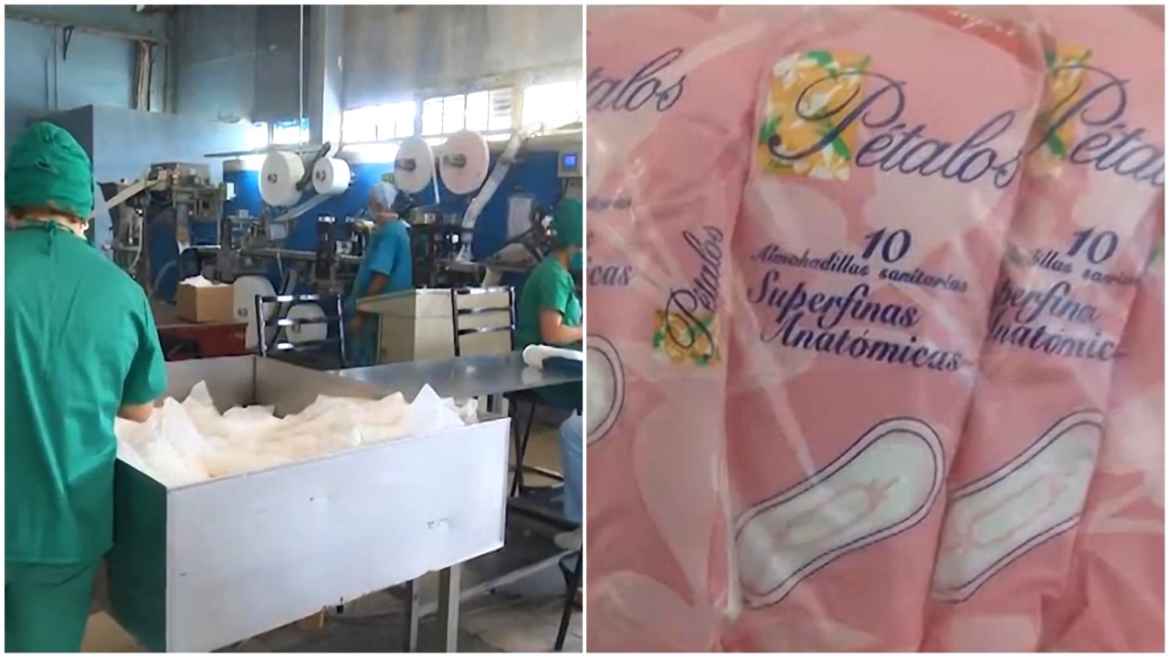 Mincin solo distribuyó tres paquetes de almohadillas sanitarias por mujer en un año