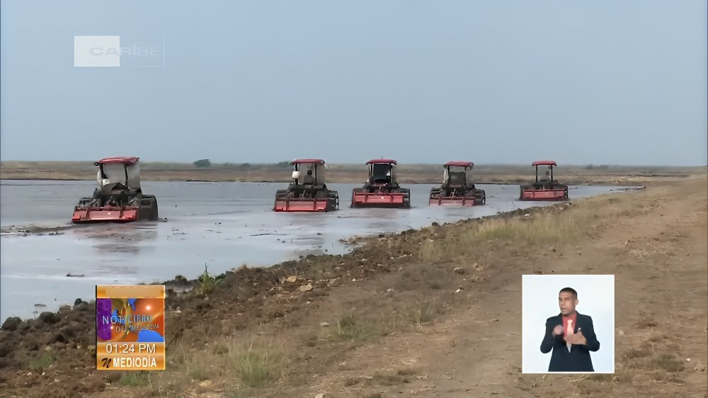 Ni China ni Vietnam, ahora los rusos invierten en sembrar arroz en Sancti Spíritus